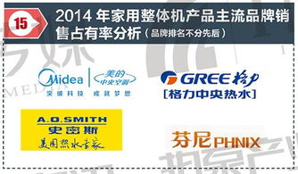 2015中国空气源热泵行业产品发展分析与其他气体能源市场展望