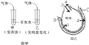 人体呼出与吸入气体中二氧化碳含量变化探究